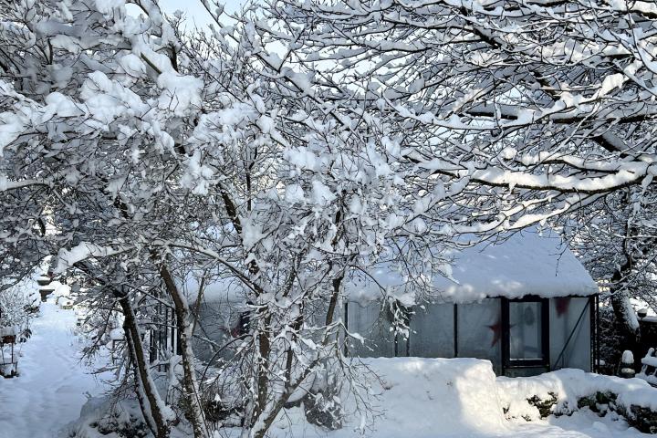 Zwischen den Jahren: eine Einladung mit Buch