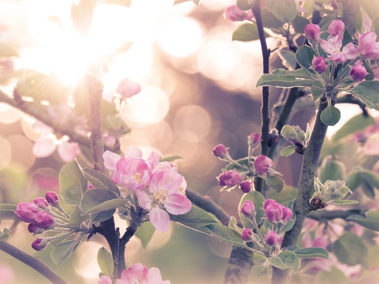 APRIL, APRIL, APRIL… -10%