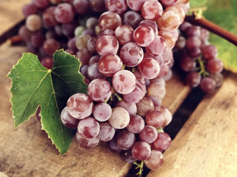 34° Merano Winefestival