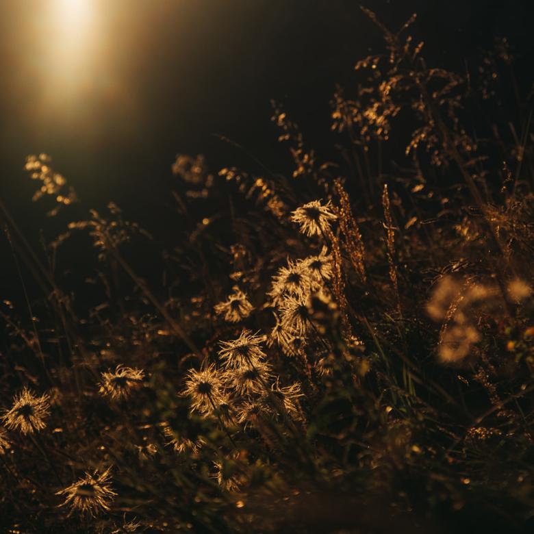 Goldener Wanderherbst in Lech – bleiben Sie etwas länger