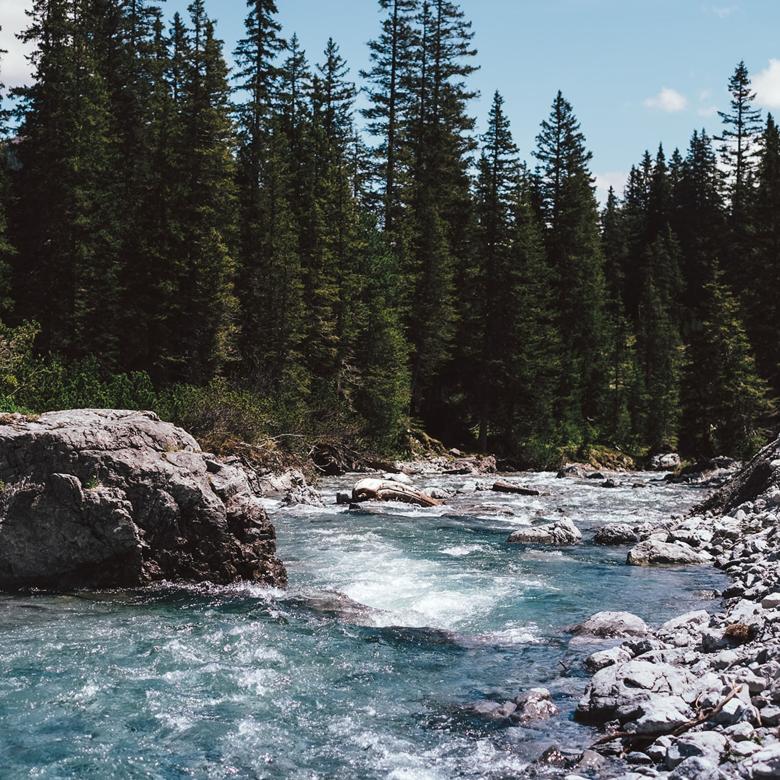 Sommerurlaub in Lech – bleiben Sie etwas länger