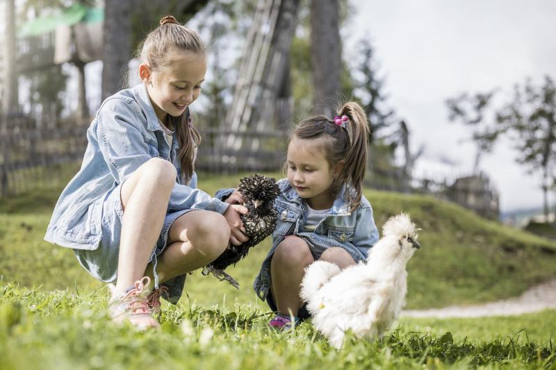 Sonniger Start in den Bergsommer