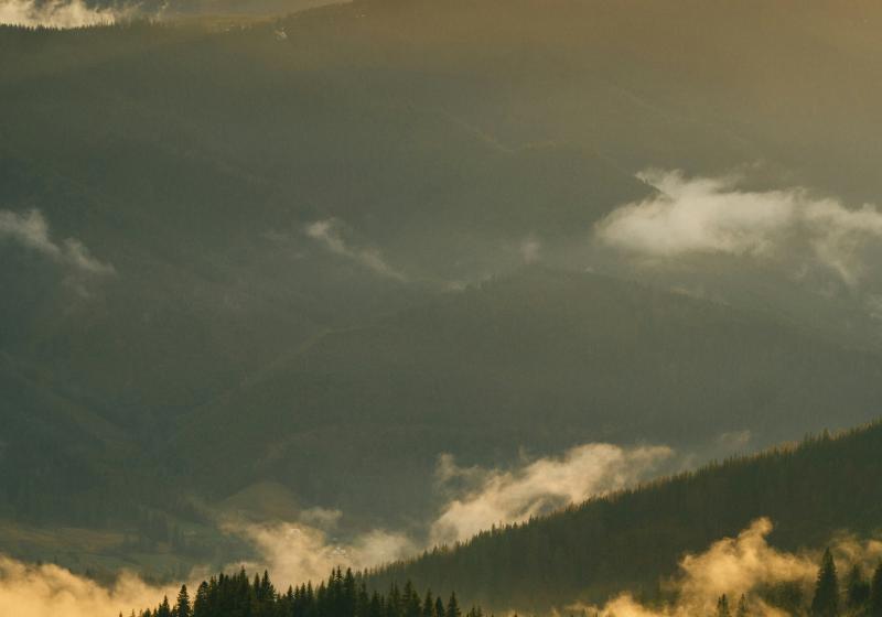 Dolomiti, grigliata e degustazione vini
