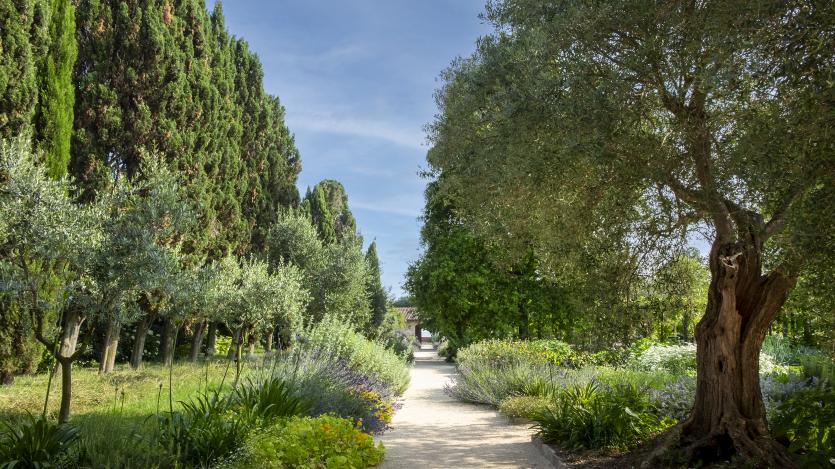 THE ART OF TIME - REDENTORE GARDENS