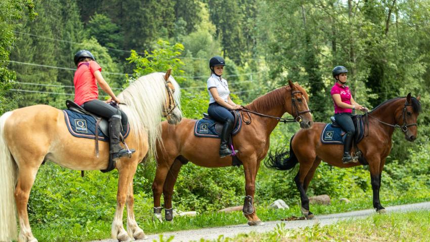 GEMEINSAME PRIVATAUSRITTE (2 ODER 3 PERSONEN)