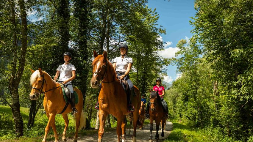 PASSEGGIATA PRIVATA A CAVALLO – 90 MINUTI