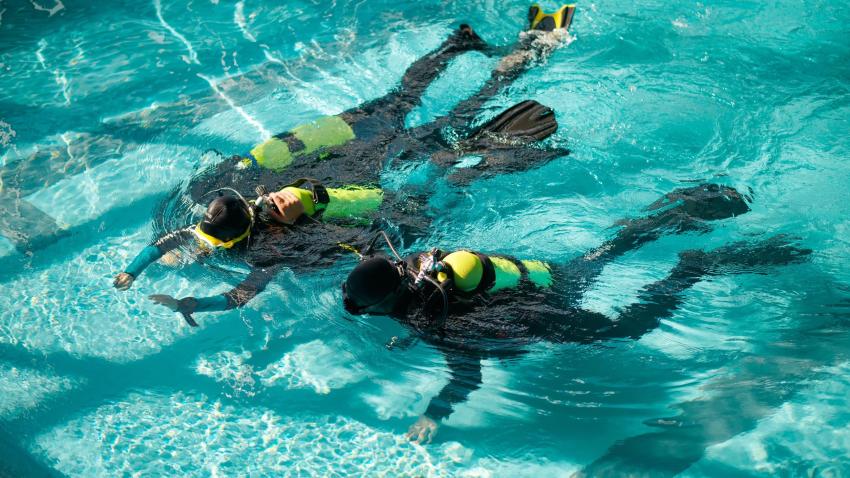 BASIC COURSE - PADI SEAL TEAM