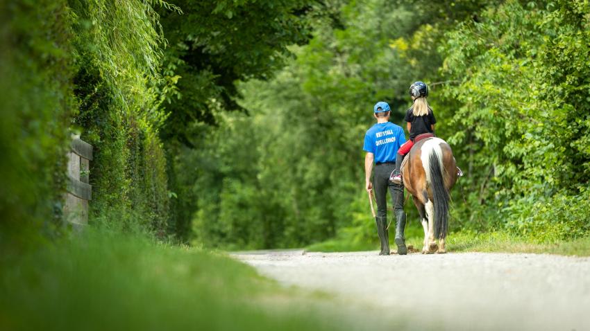 PASSEGGIATA GUIDATA SU PONY (BAMBINI) | PASSEGGIATA GUIDATA A CAVALLO (ADULTI)