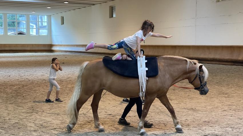 VAULTING IN THE GROUP