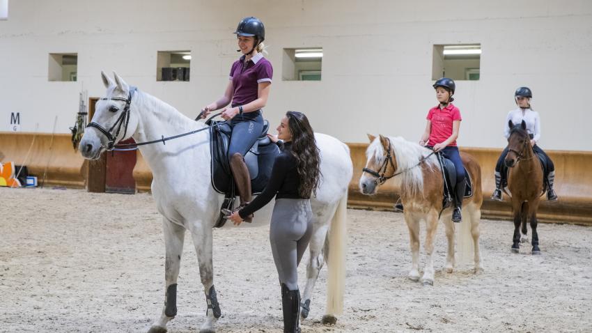 LEZIONI DI EQUITAZIONE DI GRUPPO