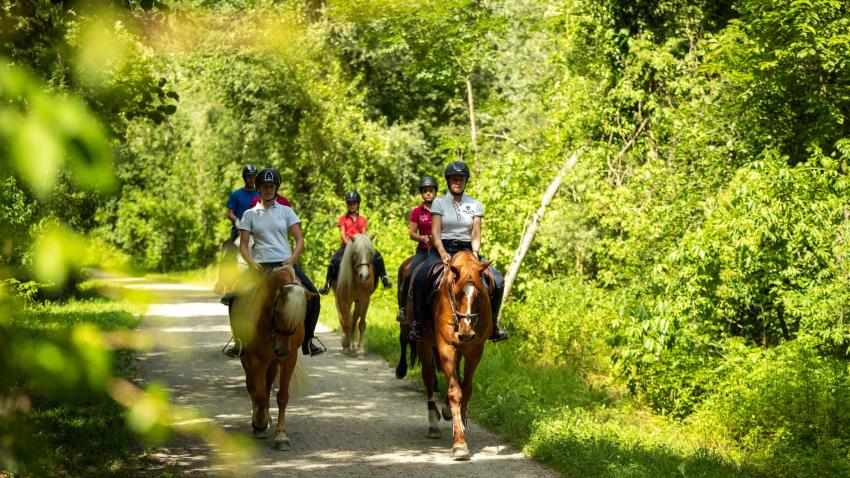 GROUP RIDES PROFESSIONAL