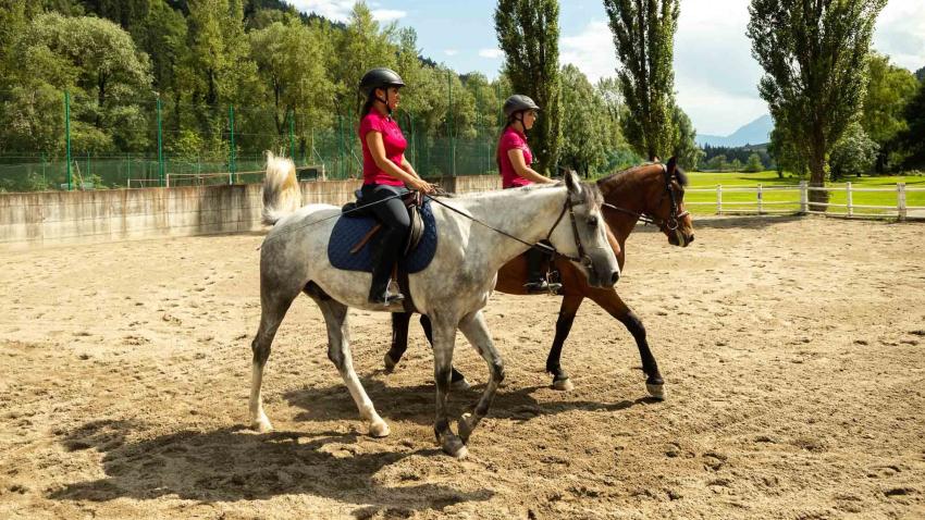 LEZIONE DI EQUITAZIONE INDIVIDUALE CONGIUNTA (A 2. O A 3.)