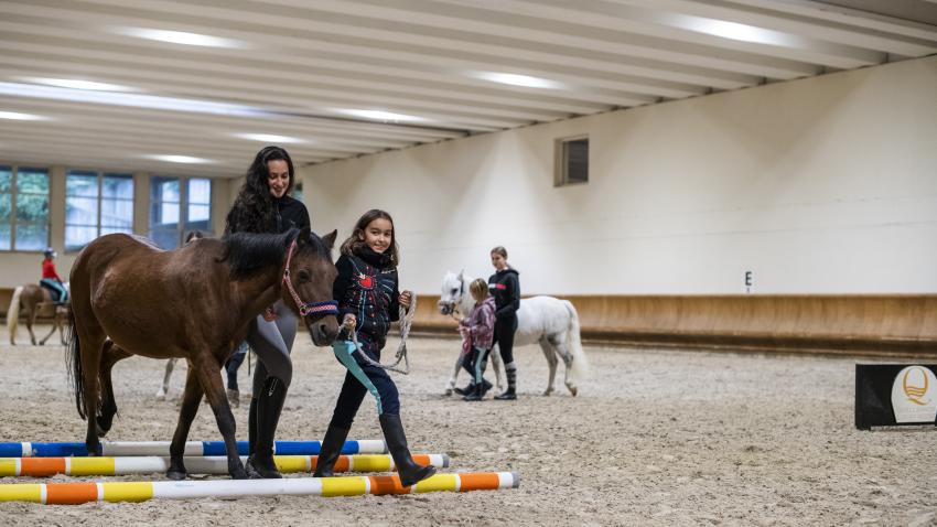 PONY GAMES IN THE GROUP (CAN ALSO BE BOOKED PRIVATELY)