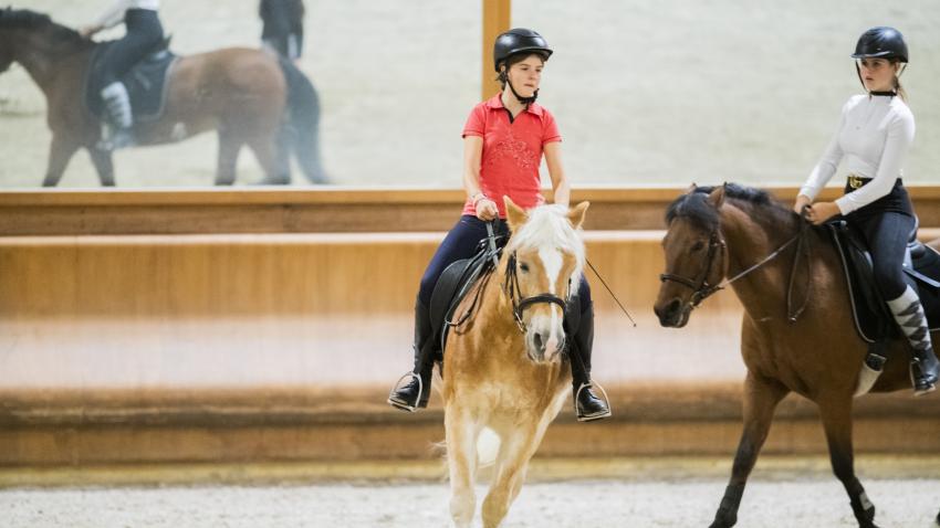 LEZIONE INDIVIDUALE CONGIUNTA (2 O 3 PERSONE)