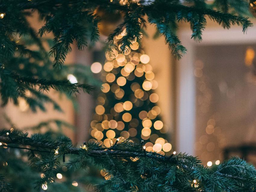 ADVENT MAGIC