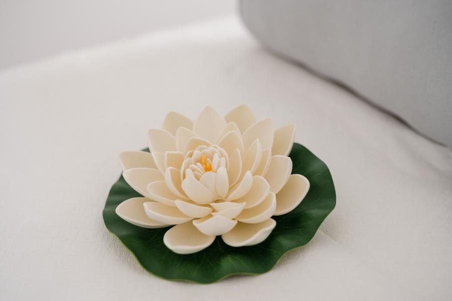 Stay Healthy, Stay Natural!