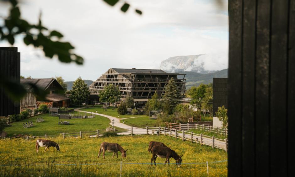 Alpine Reset-Dolomites Regeneration