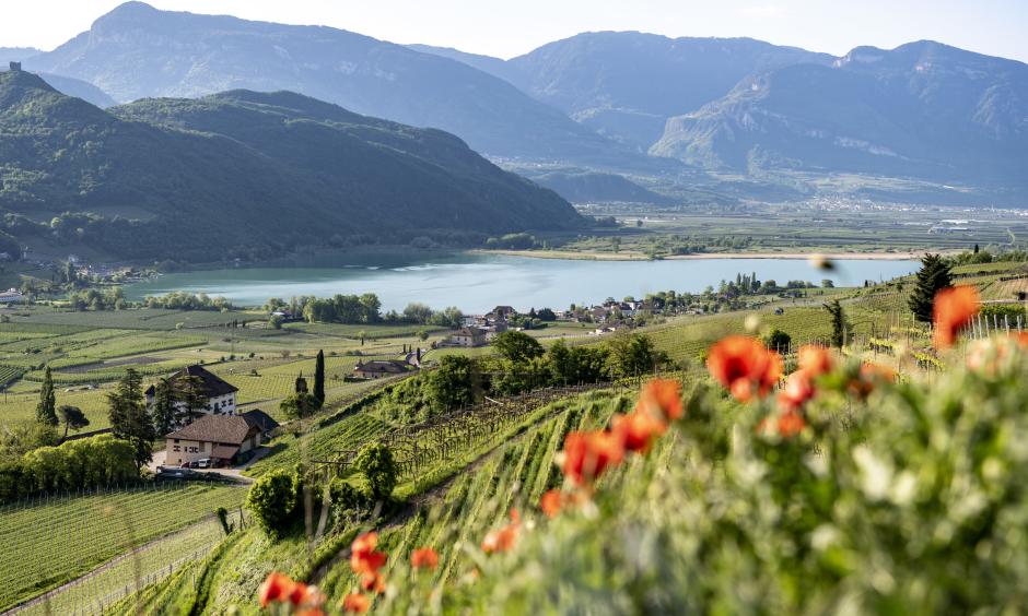 Frühling am Kalterer See 7=6