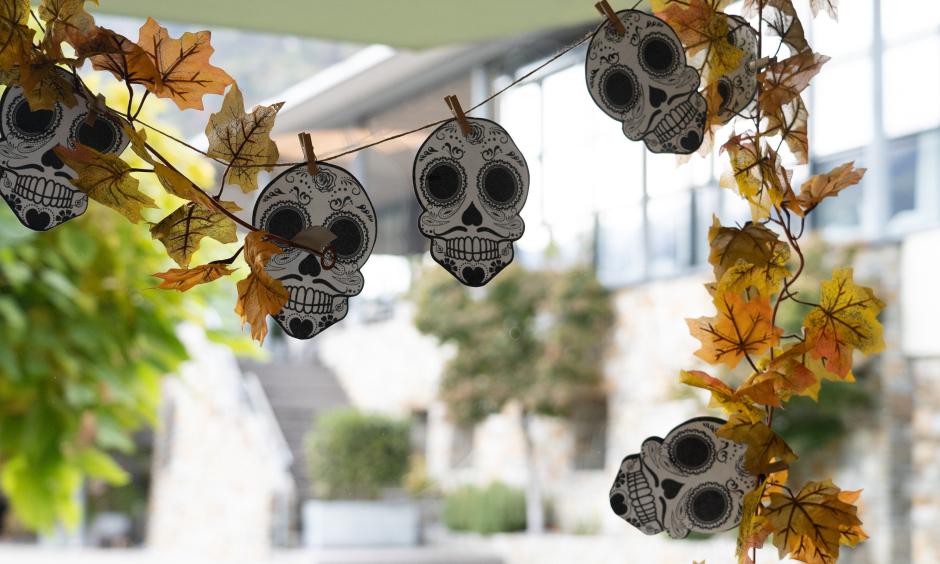 Offerta speciale per Halloween | 1 bambino gratis