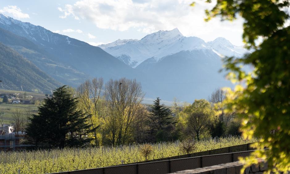 Giornate E-Bike in fiore