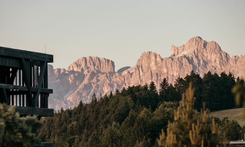 Alpine Longevity