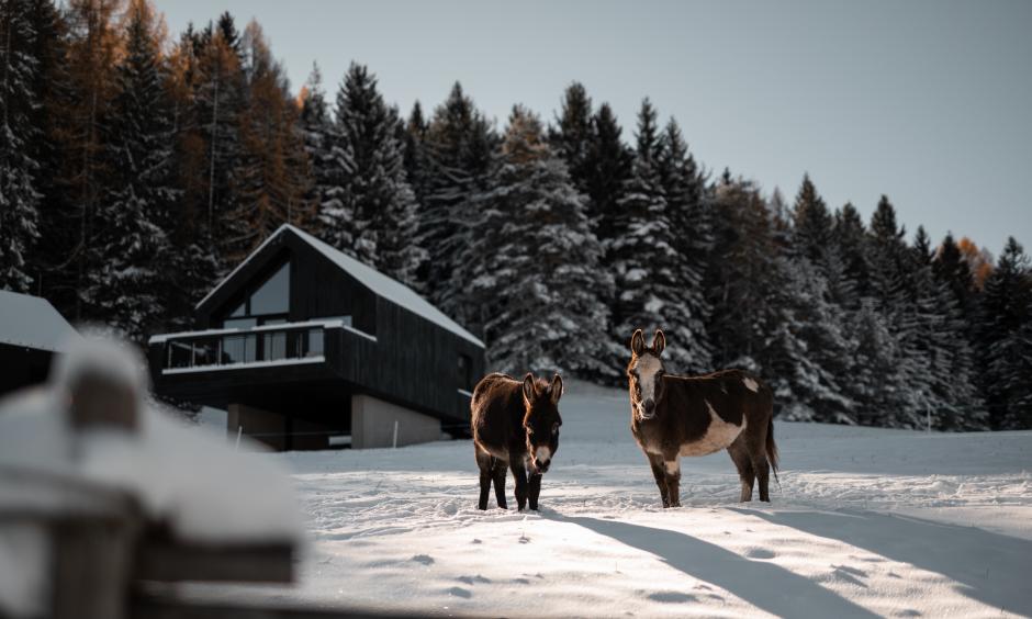 Bonus fedeltá al Pfösl