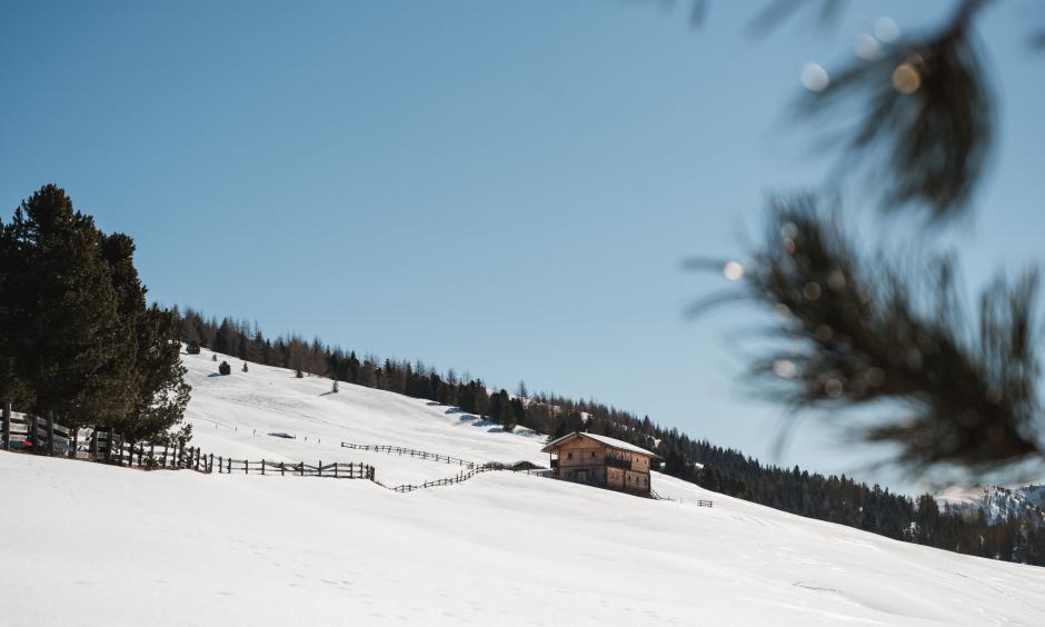 naturellness®Winter 5=4