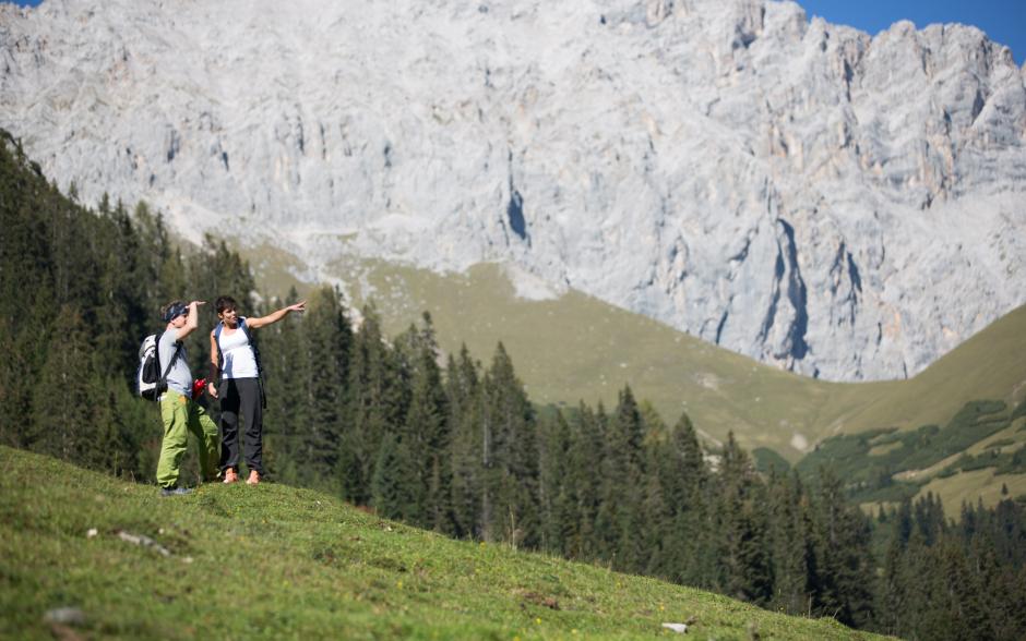 Mountain spring at Leutaschtal