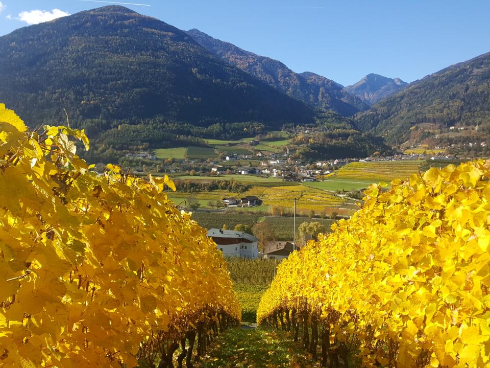 Goldener Herbst 7=6