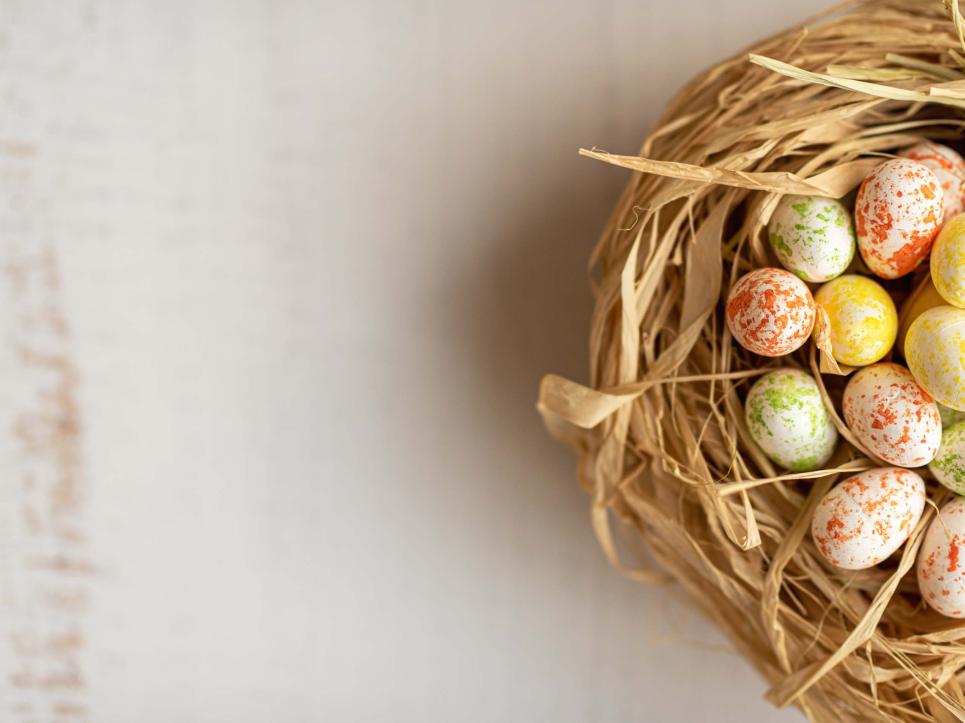 Easter bunny special
